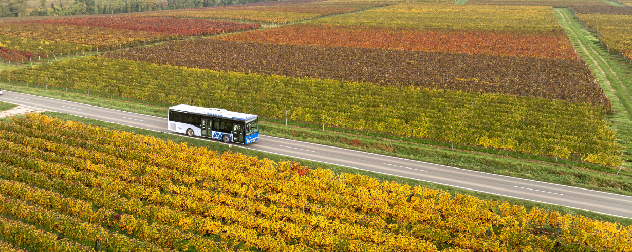 Drei Jahre neues ÖPNV-Konzept – eine Erfolgsgeschichte