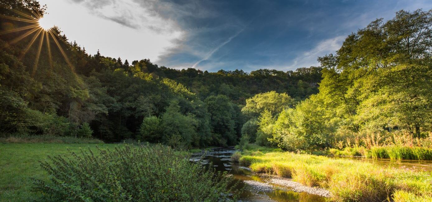 Neuer "Nationalpark-Express" für Touristinnen und Touristen