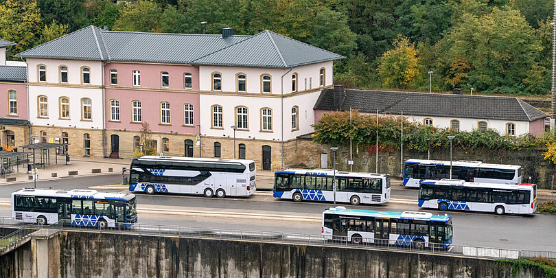 Mehrere blau-weiße Busse verschiedener Typen stehen auf einem Busbahnhof vor einem großen, historisch anmutenden, rosa-weißen Gebäude