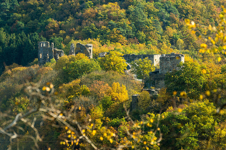 Panoramablick über die Weinberge und das Rheintal bei strahlendem Sonnenschein