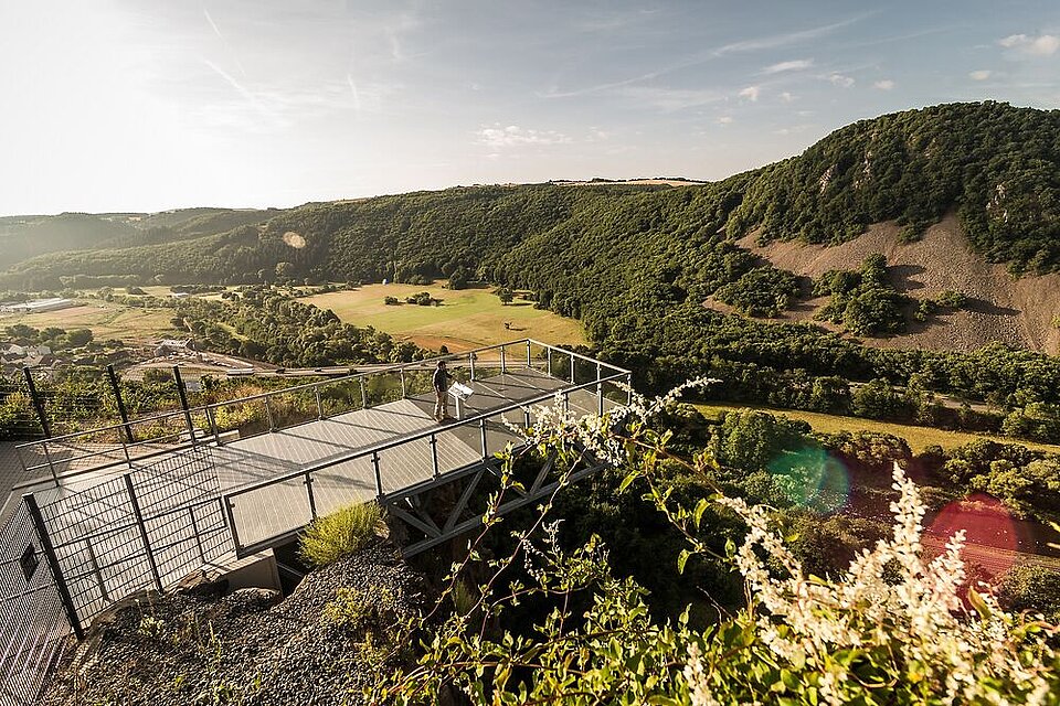 Panoramablick über die Weinberge und das Rheintal bei strahlendem Sonnenschein