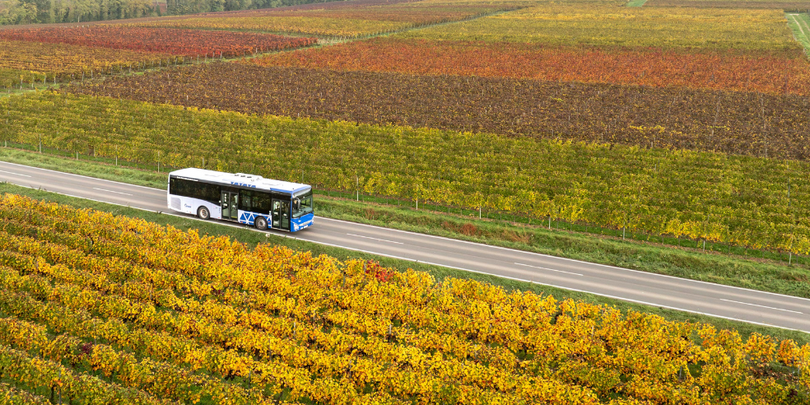 Bus im Herbst