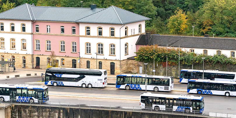Mehrere blau-weiße Busse verschiedener Typen stehen auf einem Busbahnhof vor einem großen, historisch anmutenden, rosa-weißen Gebäude