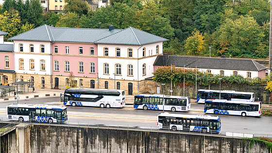 Several blue and white buses of different types are standing at a bus station in front of a large, historic-looking pink and white building
