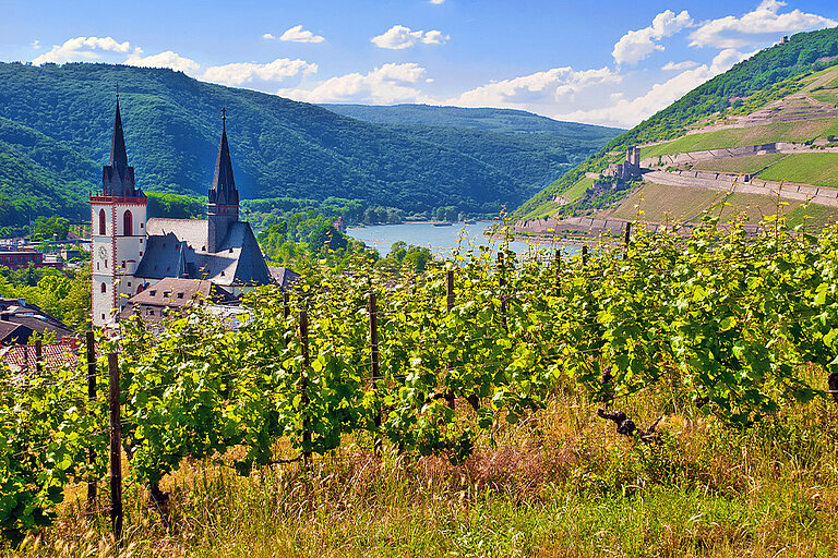 Weinberge, Flusslandschaft und kulturelle Highlights am Rhein in der RNN-Region