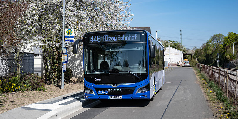 Blauer RNN-Bus der Linie 446 hält an einer Haltestelle in der Region Alzey