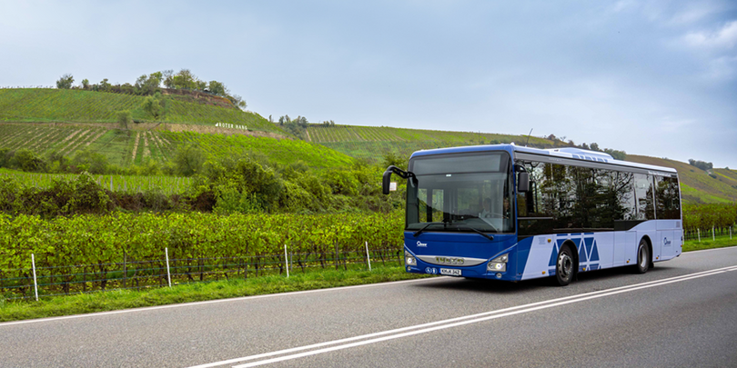 Ein blau-weißer Bus fährt auf der Straße