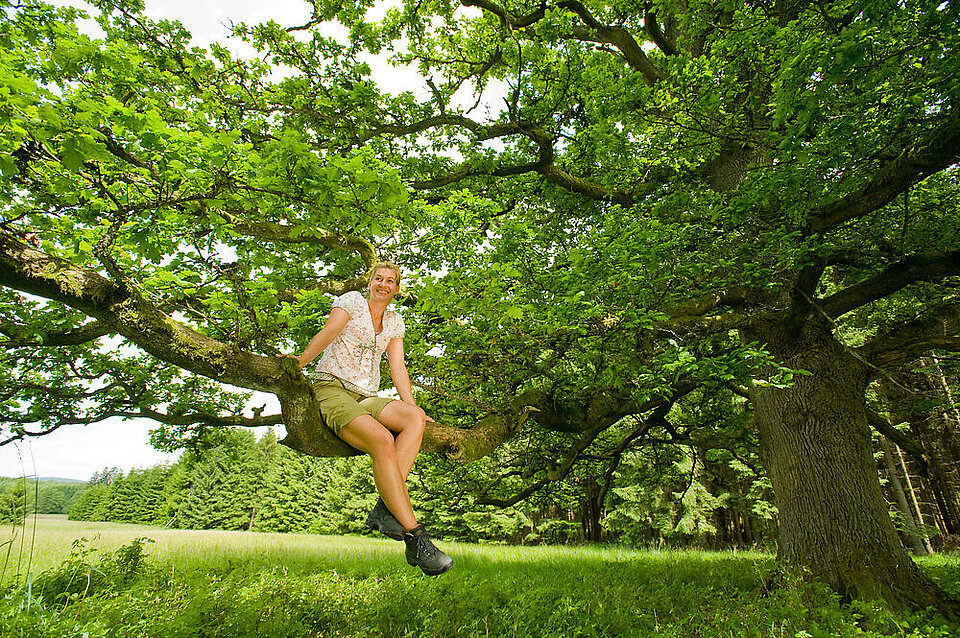 Die Vitaltour Felsengarten